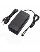 Chargeur ICe Q5 scooter électrique