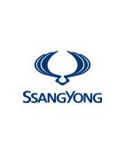 Caricabatterie e cavi di ricarica SsangYong