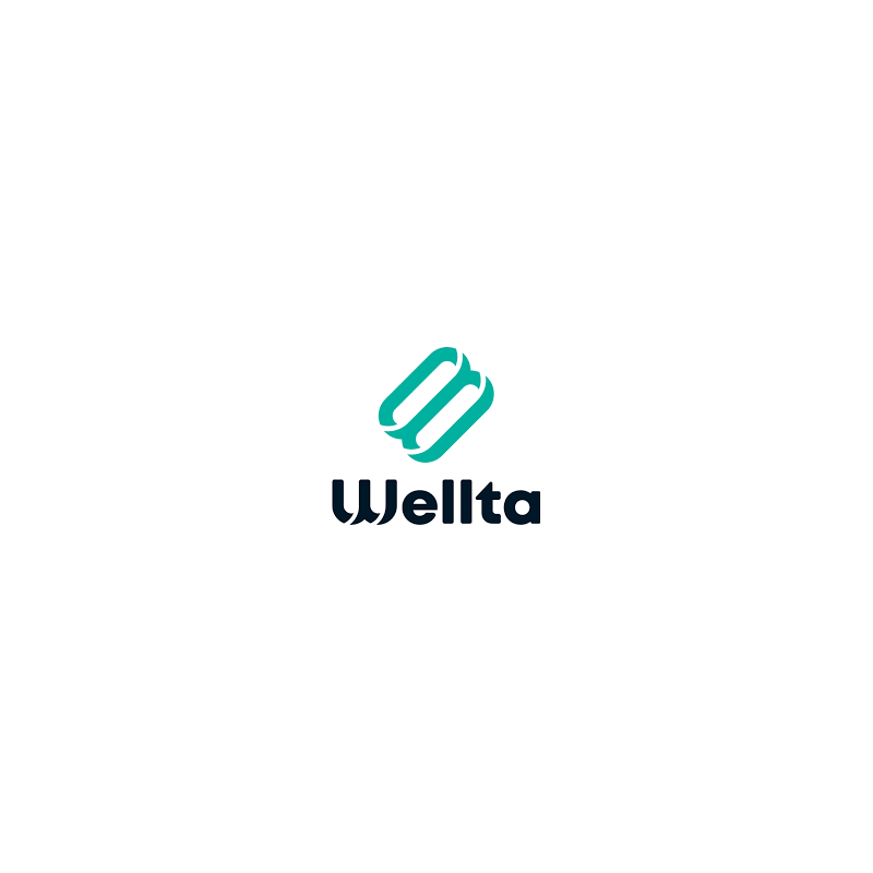 Wellta electric motorcycle spare parts
